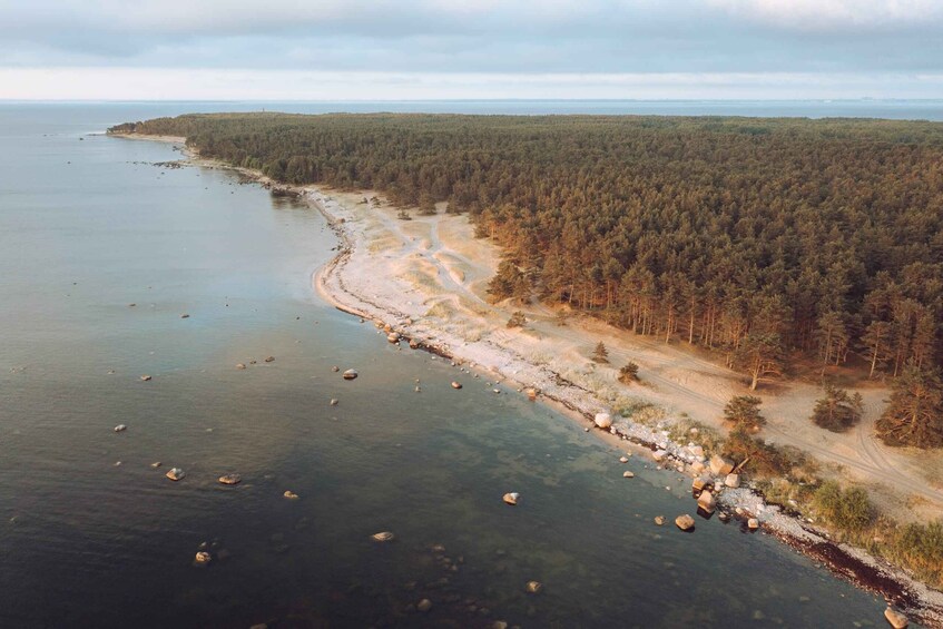 A coastal forest landscape with a sandy beach, a clear river, and a dense forest. 2