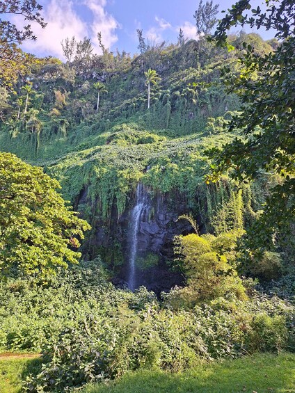 Picture 11 for Activity Tour of Réunion Island, full-day excursion (8 to 9 hours) 3