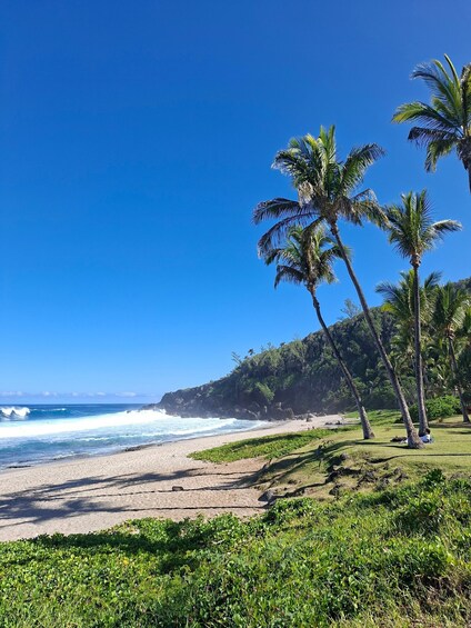 Picture 14 for Activity Tour of Réunion Island, full-day excursion (8 to 9 hours) 2
