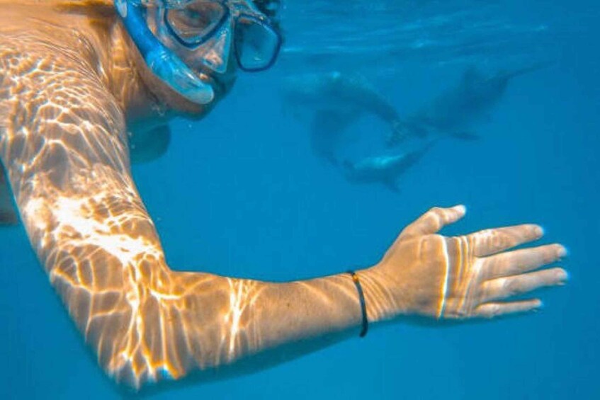 Picture 42 for Activity Diani Beach: Kisite Marine Park Dhow & Snorkeling with Lunch 5