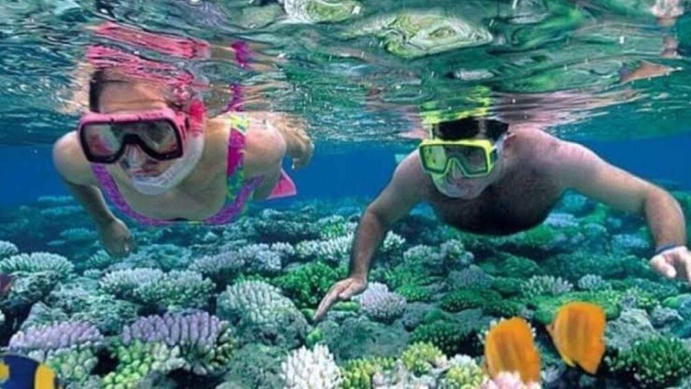 Picture 9 for Activity Diani Beach: Kisite Marine Park Dhow & Snorkeling with Lunch 5