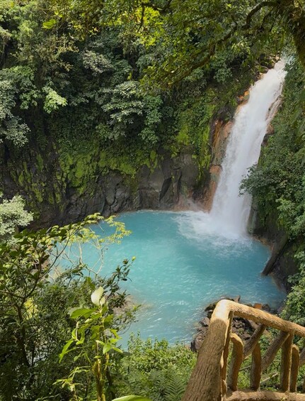 Bijagua: Rainforest & Blue River Swim from Guanacaste Hotels 1