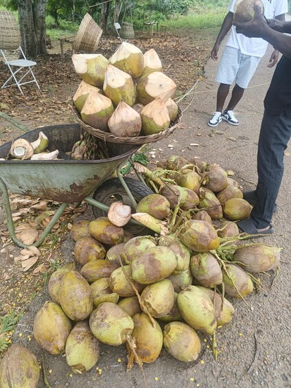 Picture 15 for Activity Akosombo: African spirituality shrine experience 5