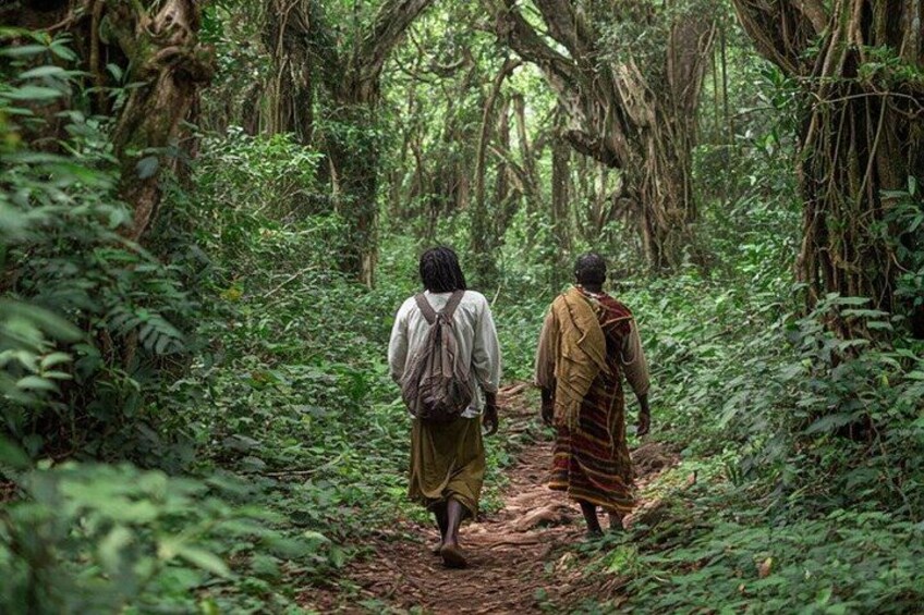 Two people walking on a forest path surrounded by dense vegetation. 2