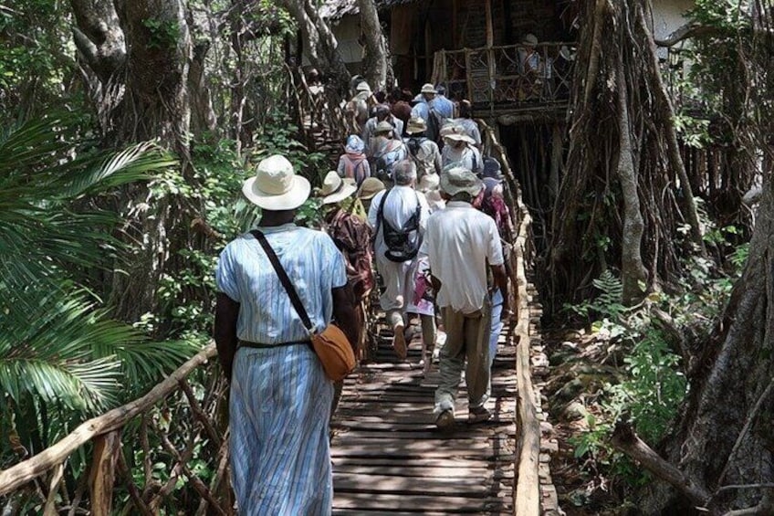 Diani Beach: Kaya Kinondo Sacred Forest Guided Tour 3