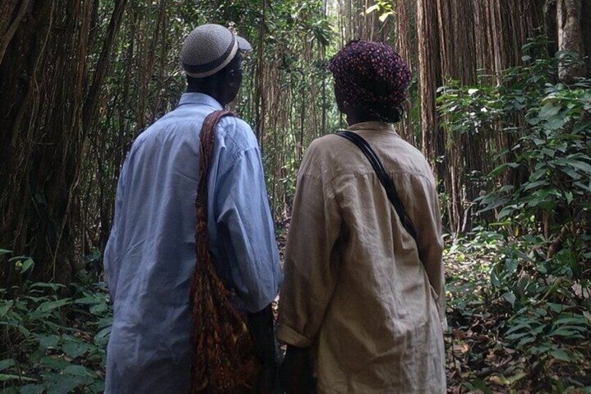 Diani Beach: Kaya Kinondo Sacred Forest Guided Tour 2