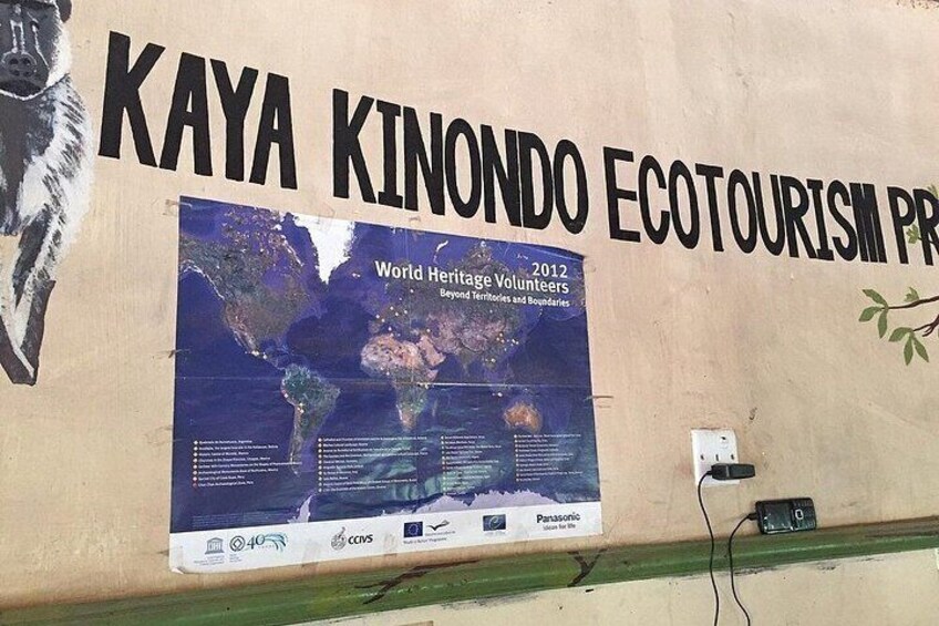 Diani Beach: Kaya Kinondo Sacred Forest Guided Tour 5