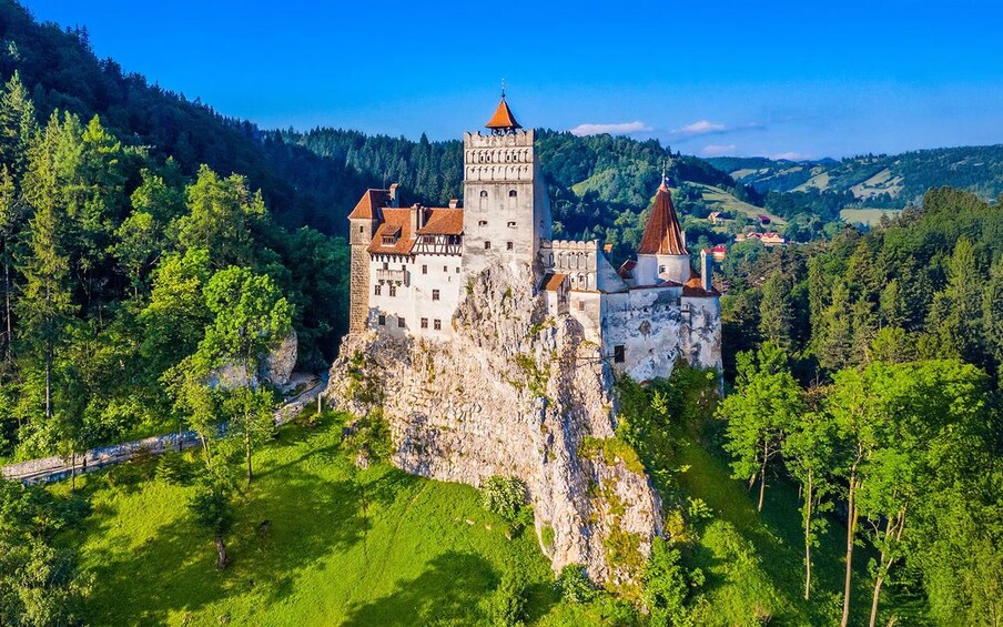 From Brașov: Top Highlights of Bran, Peleș, Cantacuzino and Sinaia 1