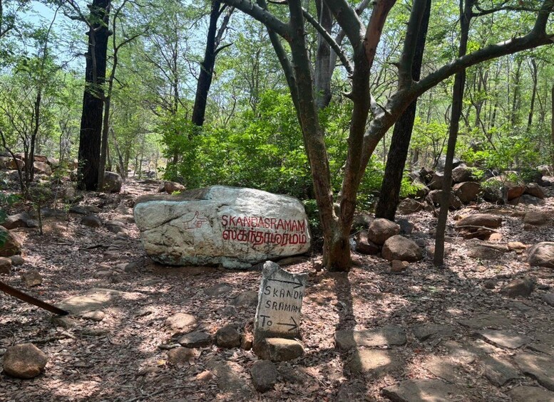 Picture 11 for Activity From Chennai Private Spiritual Tour to Tiruvannamalai 3