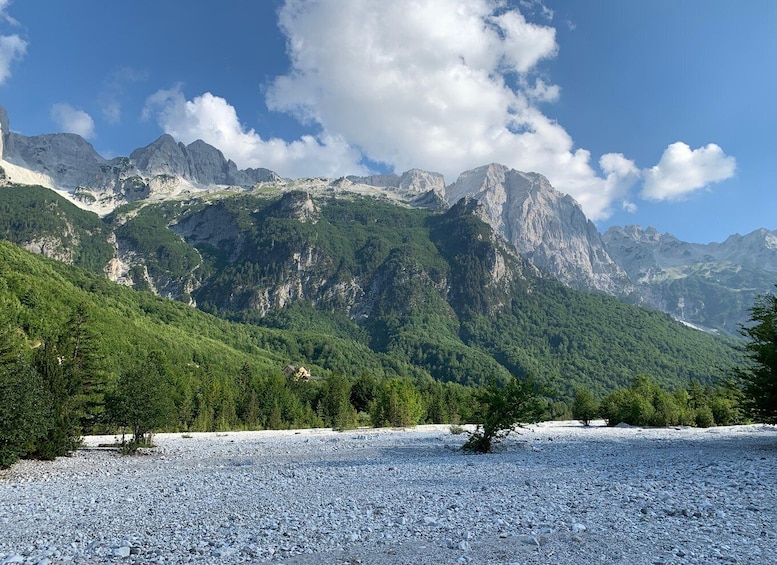 A mountainous landscape with rocky terrain and scattered trees. 5