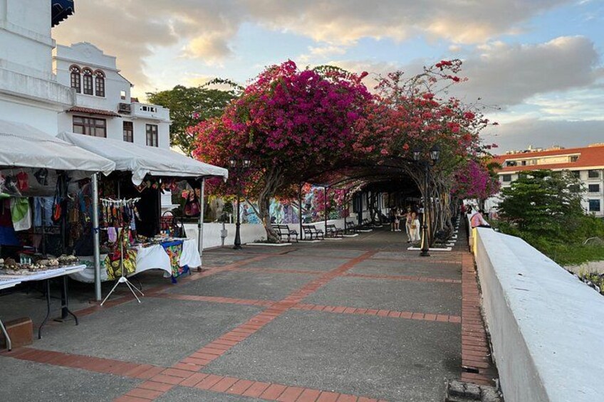 Tour of Panama City and the Panama Canal 4