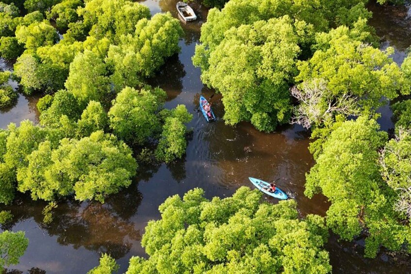 Picture 8 for Activity Zanzibar: Stone town tour and Mangrove Kayaking Experience. 2