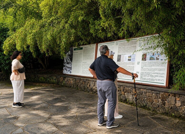 Picture 3 for Activity Jeju: Spirited Garden Entry Ticket 3