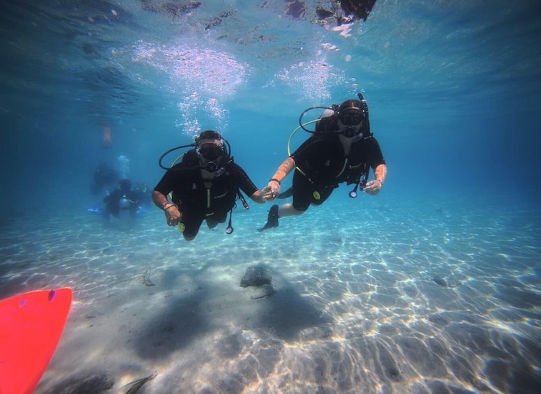 Picture 20 for Activity Sithonia: Scuba Diving Experience for Beginners 3