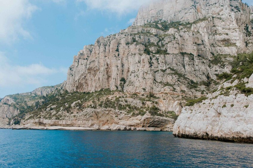 A coastal cliff with white rock formations and green vegetation. 2