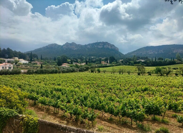Picture 33 for Activity Mediterranean Dolce Vita Cassis, Calanques Boat Ride & Wines 2