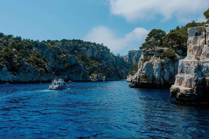 A boat on a clear blue sea with rocky cliffs and sparse vegetation. 5