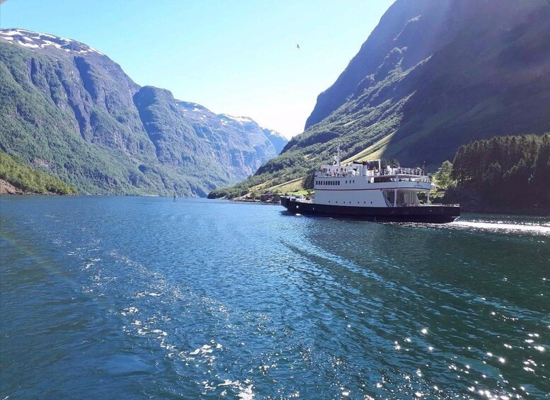 Picture 4 for Activity Bergen: Legendary Flåm Railway & UNESCO Fjord Cruise w/lunch 2