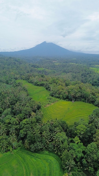 A lush landscape with terraced fields and a mountain in the background. 2