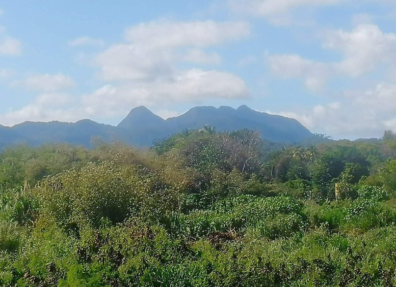 A mountainous landscape with dense vegetation in the foreground. 1