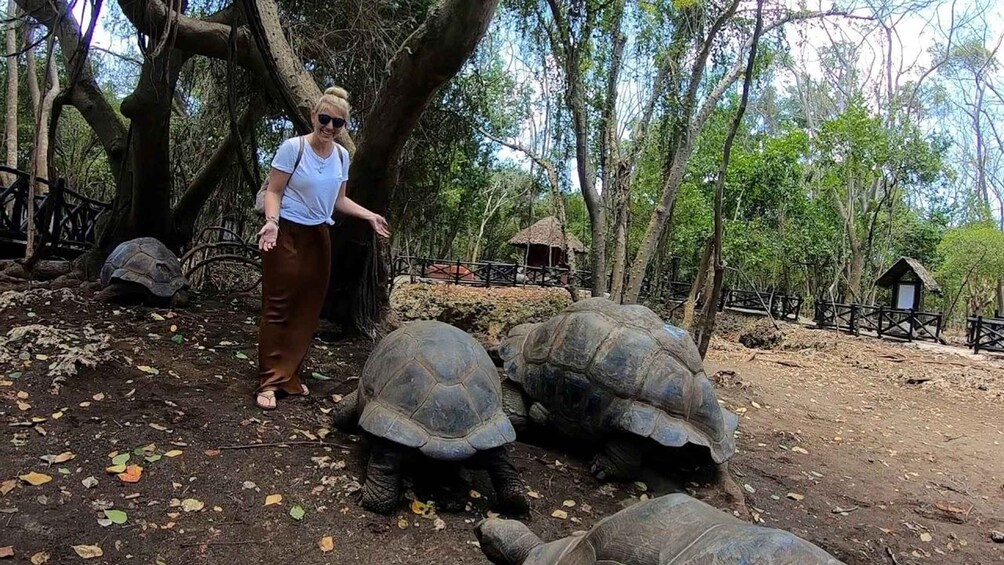 A person standing near large tortoises in a natural setting with trees and a wooden structure in the background. 4