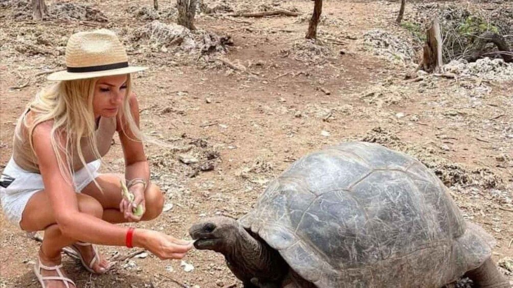 A person crouching next to a tortoise on a dirt path in a dry forest. 5