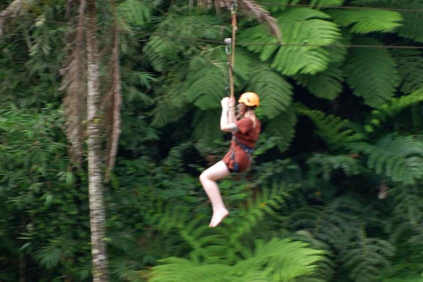 A person zip-lining through a dense forest. 3