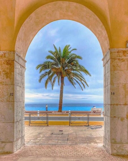 An archway with a palm tree and a view of the ocean. 3