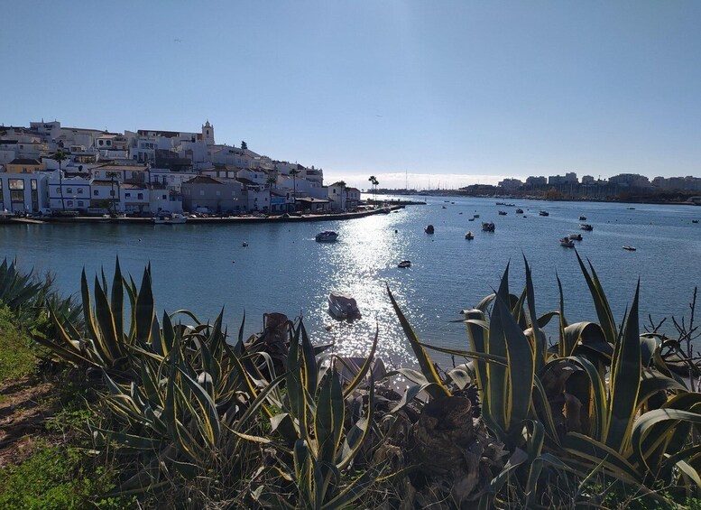 Picture 7 for Activity Portimão: Algarve Coastline Tour with Cruise Terminal Pickup 3