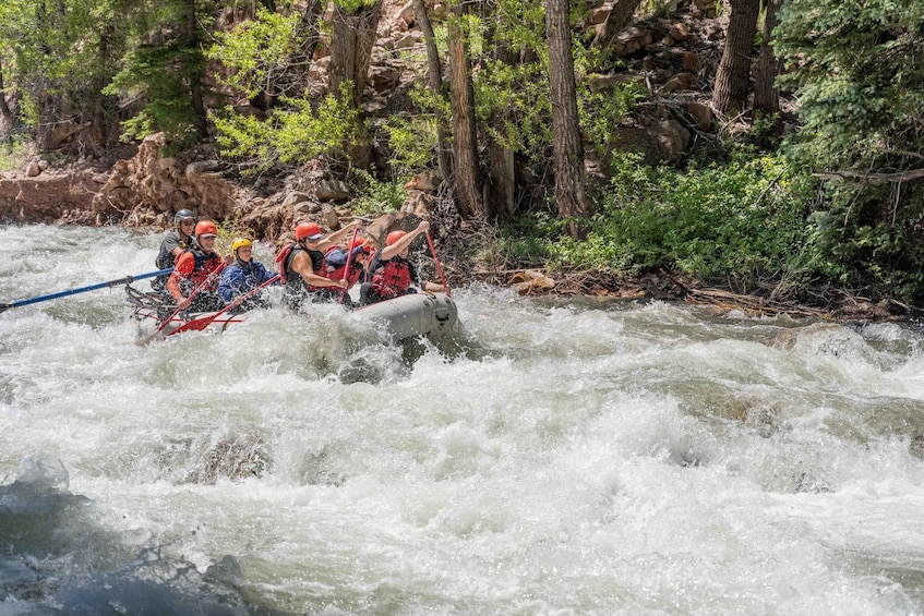 Telluride Morning Half Day Rafting Trip - San Miguel River 1
