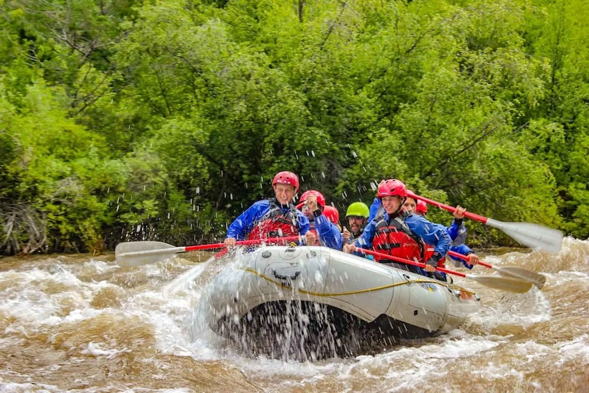 Telluride Morning Half Day Rafting Trip - San Miguel River 1
