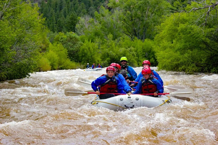 A group of people in a white raft navigating a fast-flowing river surrounded by lush green trees. 1