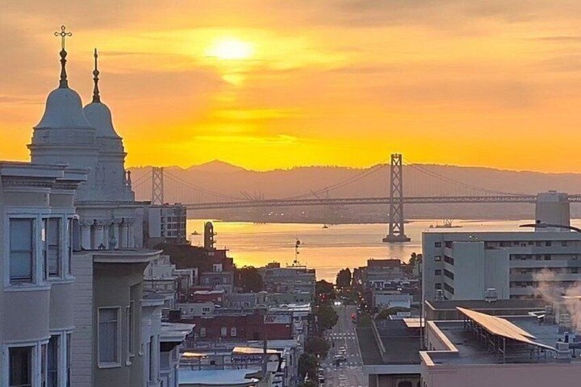 1 day Hop-on Hop-off in San Francisco 20 stops 8 hours 3