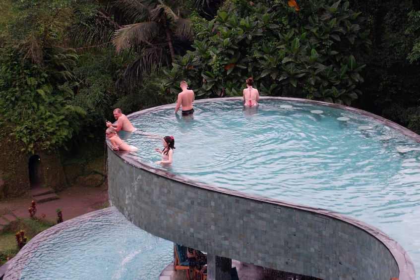 A circular infinity pool with people swimming and relaxing, surrounded by lush greenery. 2