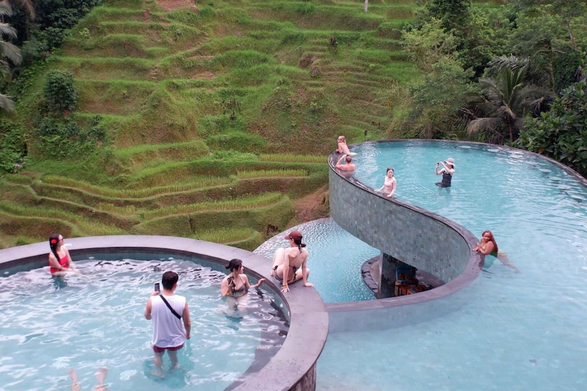 A circular pool with people swimming and relaxing, surrounded by lush green terraced fields. 5