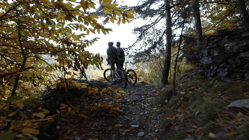 Two people with bicycles on a forest trail. 2