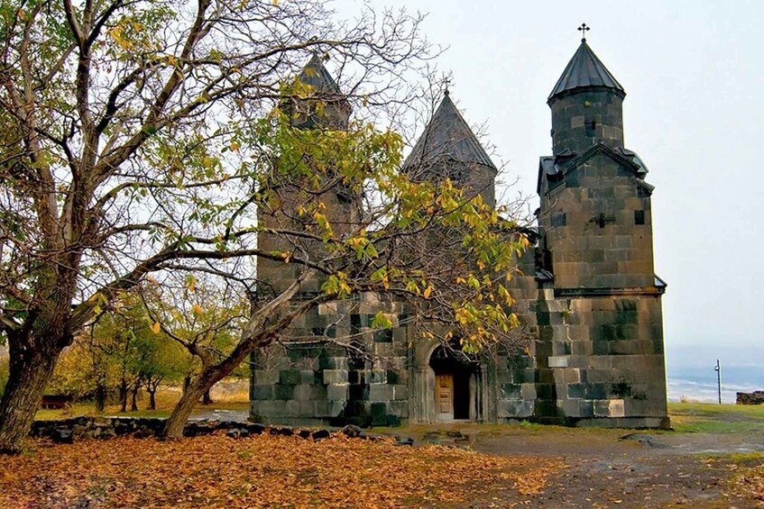 A stone church with two towers and a large tree in the foreground. 3
