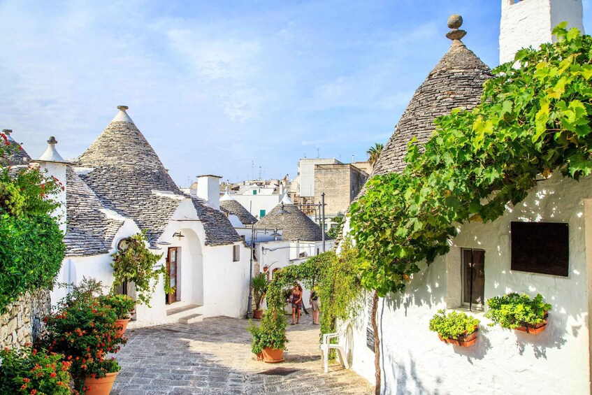 A narrow cobblestone street lined with white buildings with conical roofs, potted plants, and a clear blue sky. 1