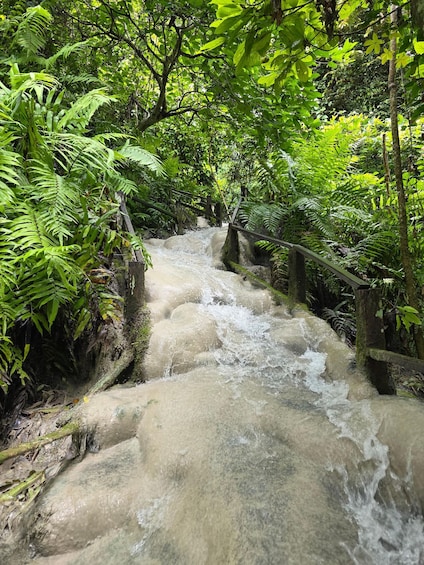 Ein kleiner, klarer Bach fließt über Felsen in einer bewaldeten Gegend mit dichtem Grün und einer Holzbrücke. 4