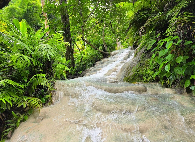 Ein Wasserfall stürzt durch üppiges Grün. 3
