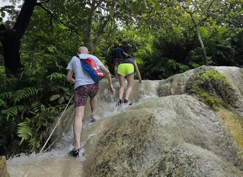 Picture 3 for Activity Chiang Mai:Sticky waterfall (Half Day) Hotel Transfer 3