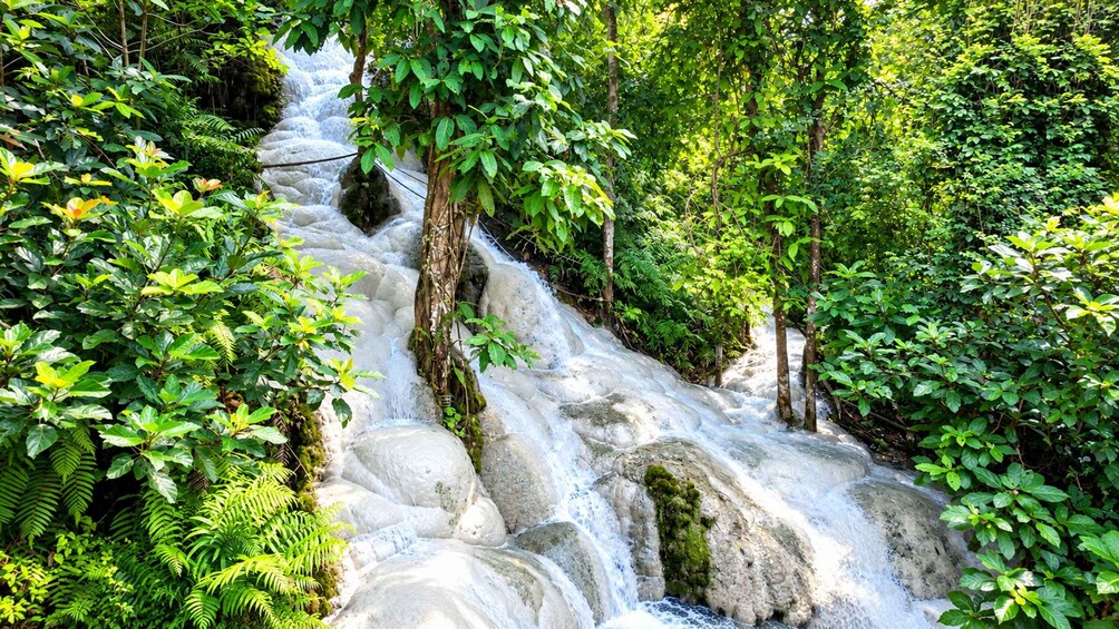 Ein Wasserfall stürzt über Felsen in einem üppigen Wald. 2
