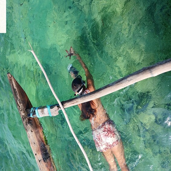 Picture 17 for Activity Zanzibar: Kiwengwa Reef Snorkeling and Sailing Tour 3