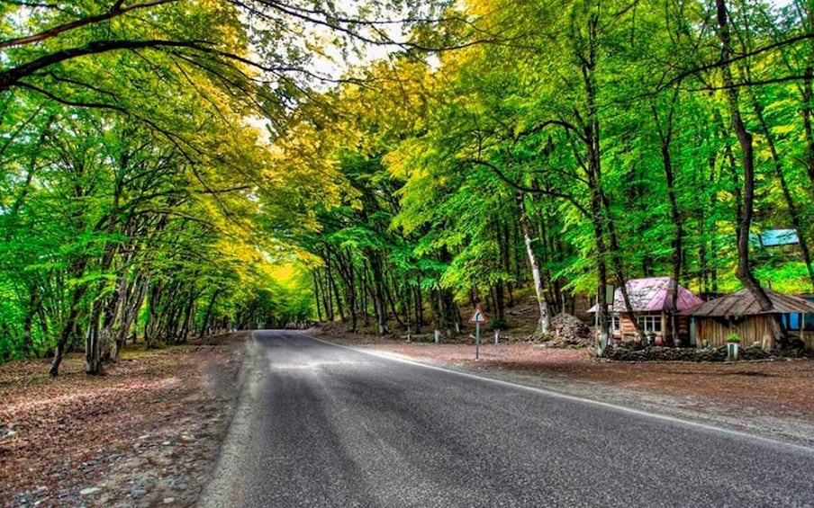 A road flanked by dense green trees, a small house, and a warning sign. 2