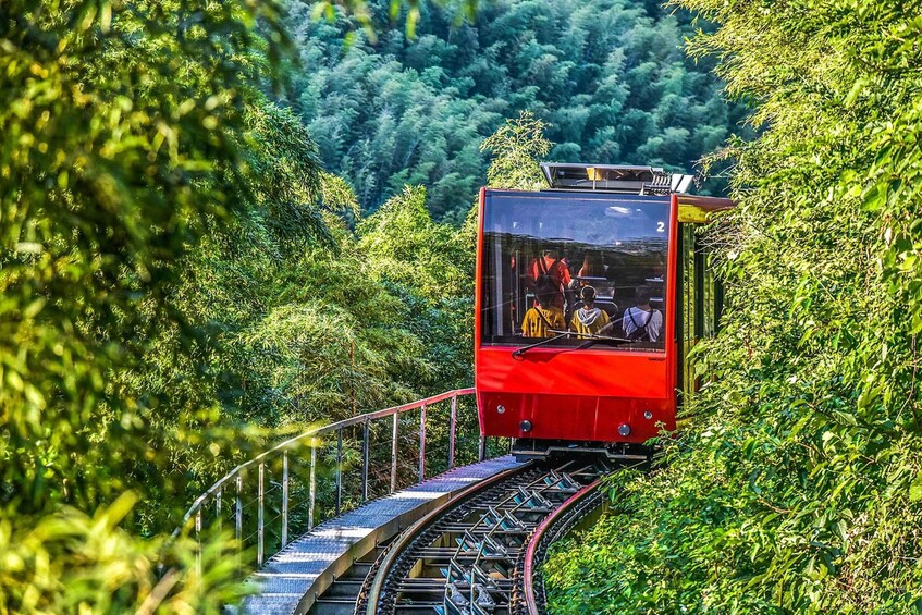 A red cable car moving along a track through a forested area. 1
