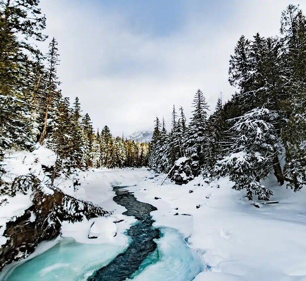A snow-covered river flowing through a forest. 3