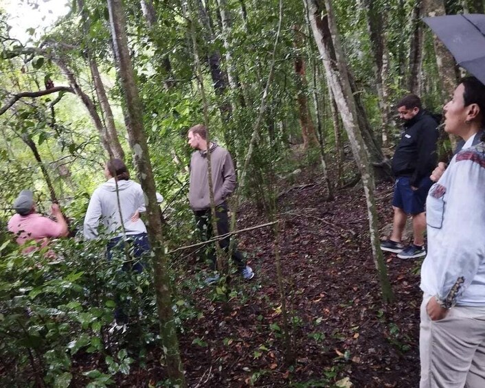 A group of people hiking in a forested area with dense trees and a narrow trail. 3