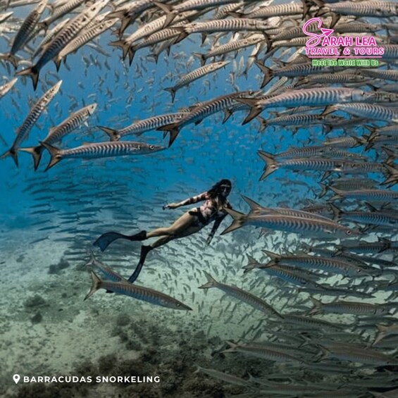 Picture 2 for Activity Siquijor: Island Adventure Day Trip with Snorkeling & Falls 2