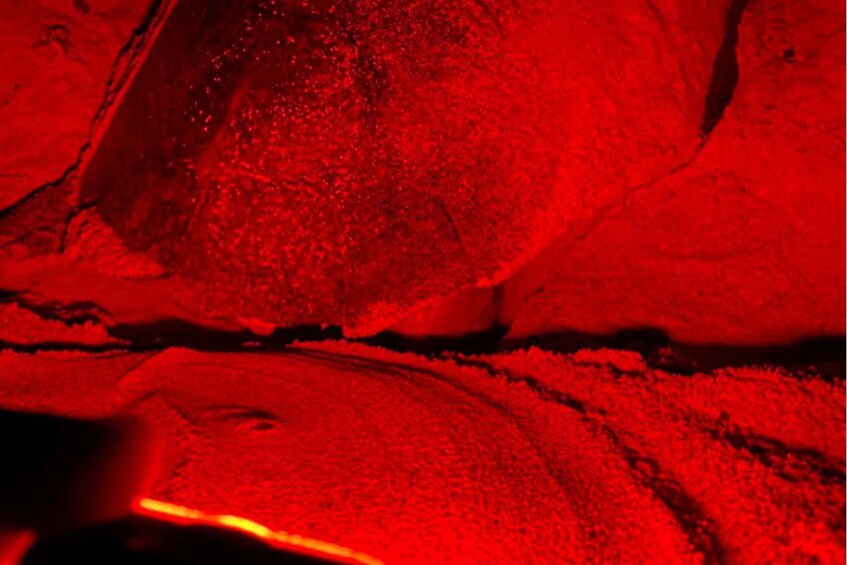A close-up of a red rock surface with visible cracks and textures. 4
