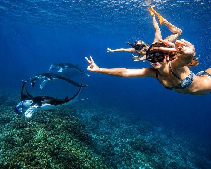 Picture 26 for Activity From Bali: Nusa Penida 3 Spots Snorkeling Tour & West Island 3